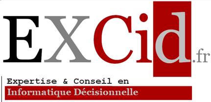 Logo EXCID